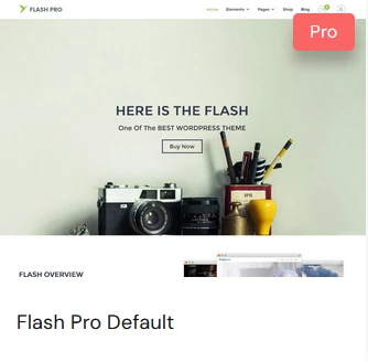 Flash Pro Template