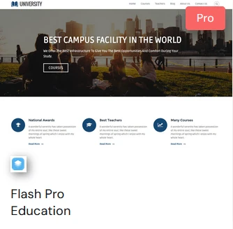 Flash Pro Education Template